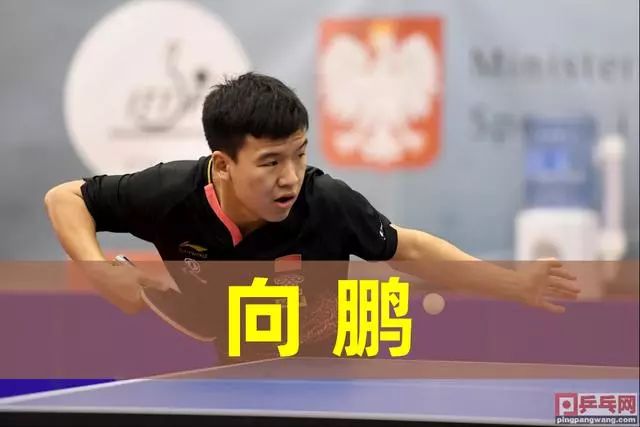 无论是在球 无论是在球